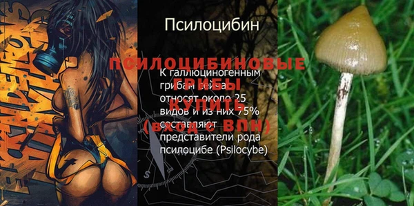 эйфоретик Верея