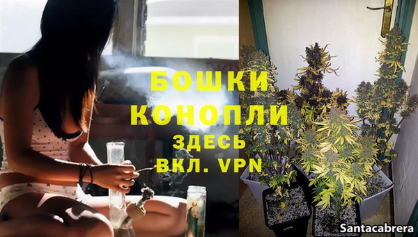эйфоретик Верея