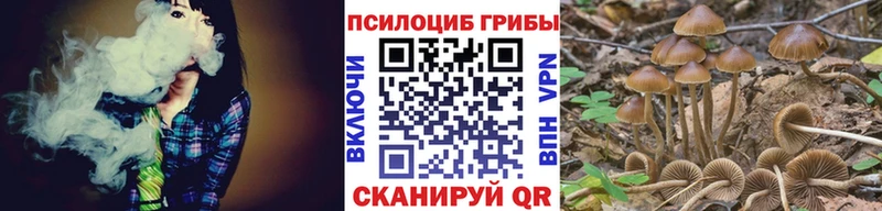 Галлюциногенные грибы Psilocybine cubensis  Орехово-Зуево 